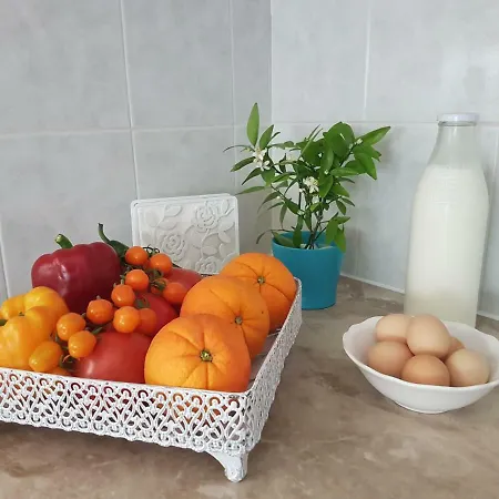 Terra בית נופש